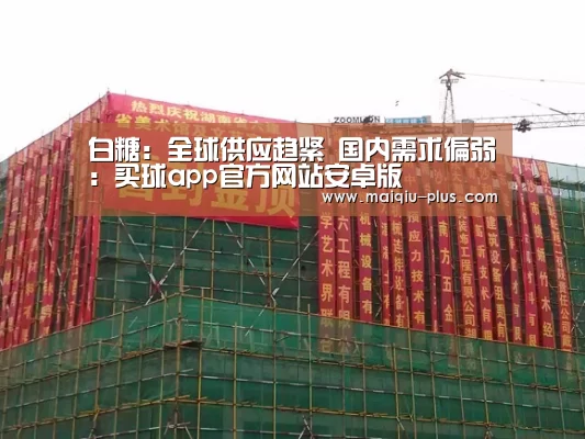 买球app官方网站下载